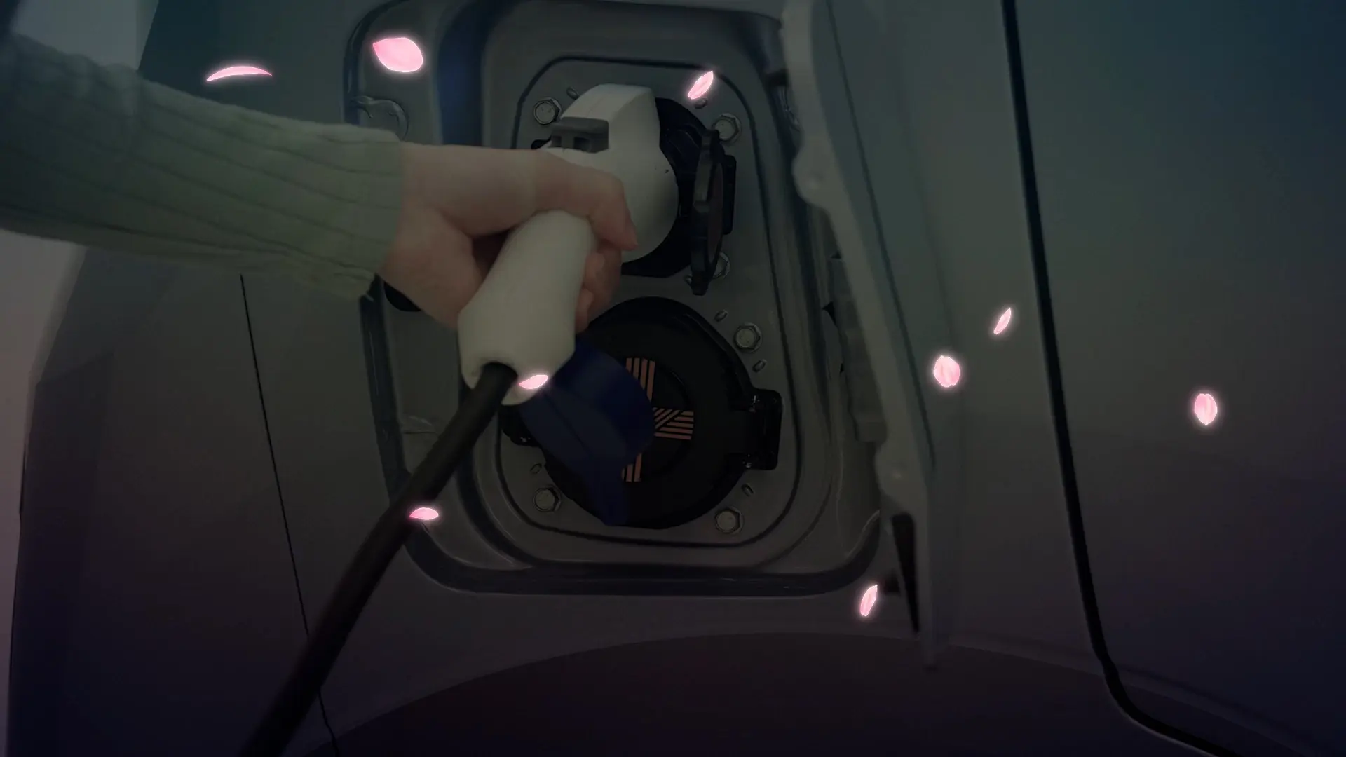 EVベーシックパック