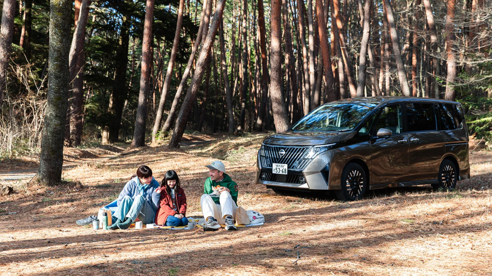 プロパイロット 2.0